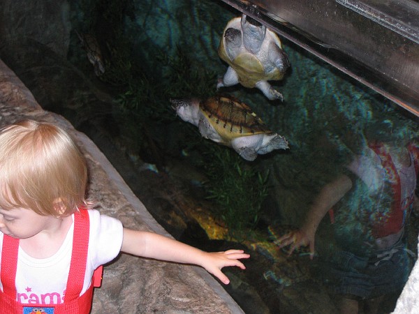 first family vacation-june 017.jpg